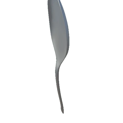Spoon (1)